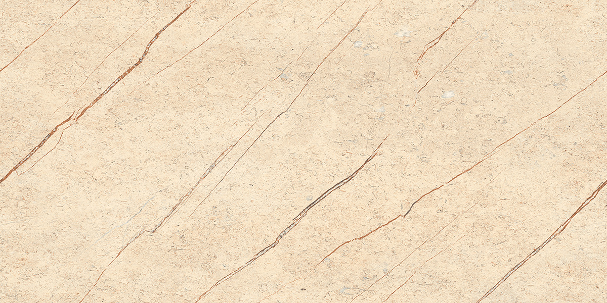 600x1200mm